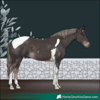 Horse Color:Platinum Liver Chestnut Tobiano 