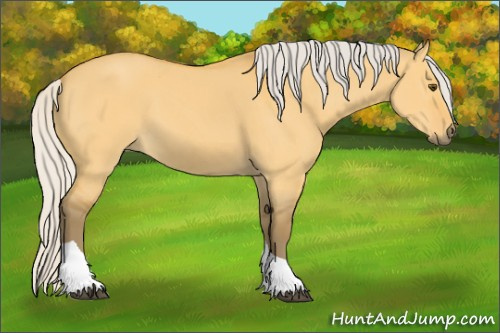 Horse Color:Silver Buckskin Dun Tobiano