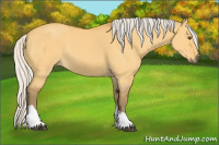 Horse Color:Silver Buckskin Dun Tobiano 