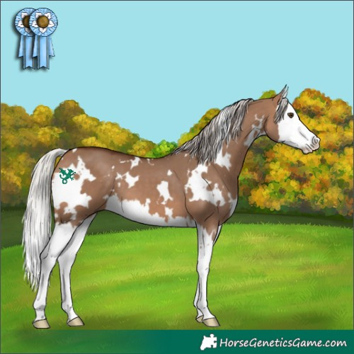 Horse Color:White Spotted Silver Brown Dun Splash 