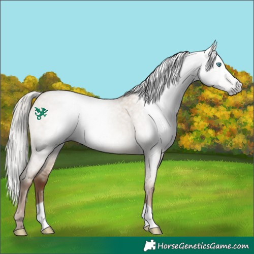 Horse Color:Gray Silver Sable Champagne Roan Dun 