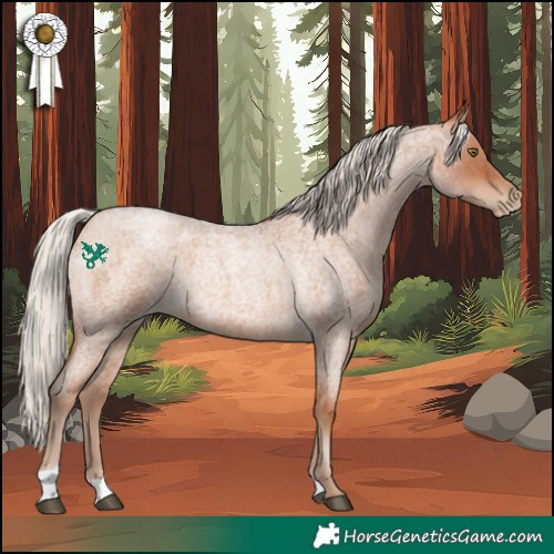 Horse Color:Silver Brown Roan Pearl 