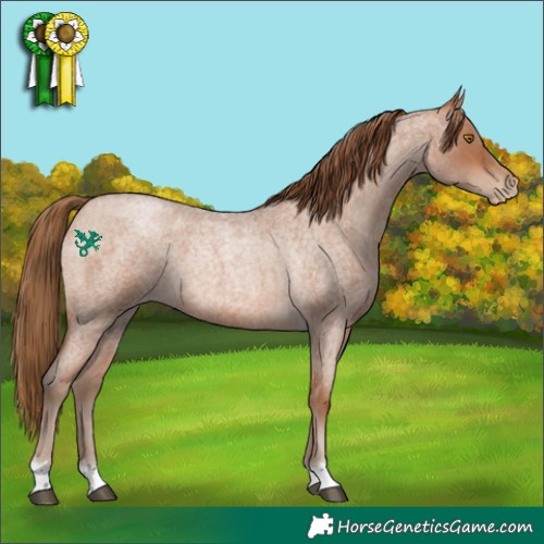Horse Color:Brown Roan Pearl 