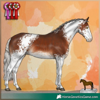 Horse Color:White Spotted Silver Brown