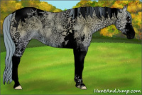 Horse Color:Void Watercolor Bay Ice Pearl Onyx Sabino Tobiano Rabicano 