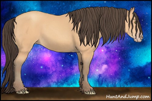 Horse Color:Amber Champagne 