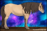 Horse Color:Amber Champagne