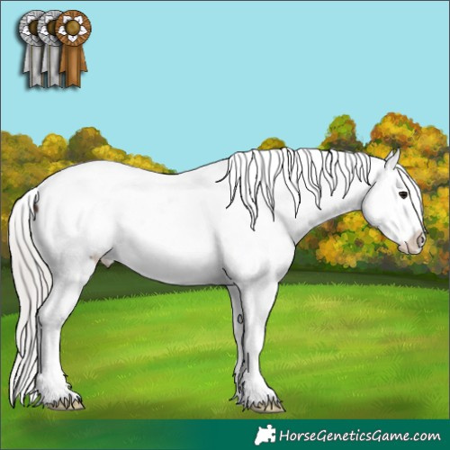 Horse Color:Chocolate Silver Brown Appaloosa 