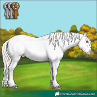 Horse Color:Chocolate Silver Brown Appaloosa 