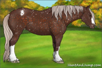 Horse Color:Chocolate Silver Brown Snowflake Varnish 
