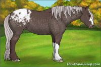 Horse Color:Platinum Chocolate Silver Brown Appaloosa