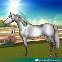 Horse Color:Gray Liver Chestnut 