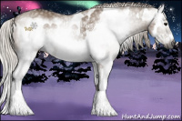 Horse Color:Gray Silver Grullo Splash Frame 
