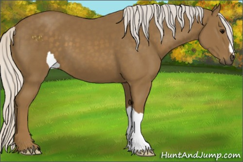 Horse Color:Silver Smoky Black 