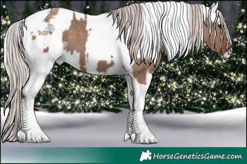 Horse Color:Silver Grullo Tobiano and Silver Buckskin Roan Dun Tobiano Near Leopard