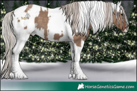 Horse Color:Silver Grullo Tobiano  and Silver Buckskin Roan Dun Tobiano Appaloosa 