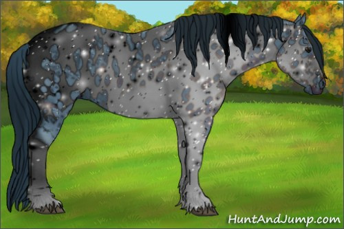 Horse Color:ERROR: UNKNOWN ANOMALY