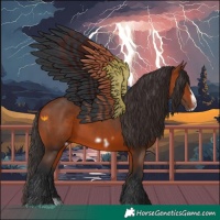 Horse Color:Bay Splash Frame Rabicano 