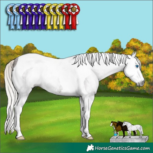 Horse Color:Gray Silver Black Splash Tobiano 