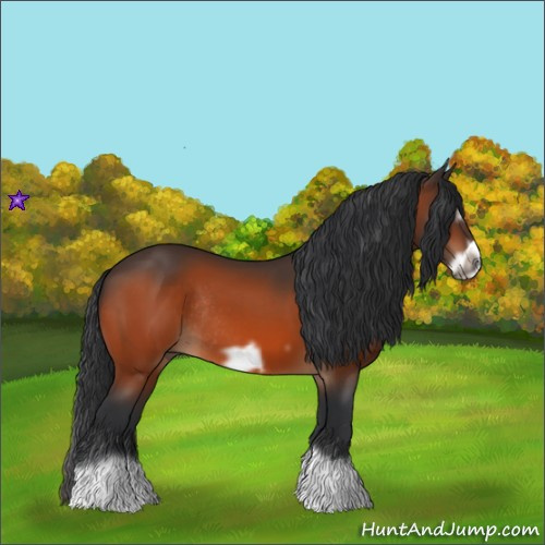 Horse Color:Bay Splash Frame Rabicano