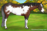 Horse Color:Brown Splash Frame Rabicano 