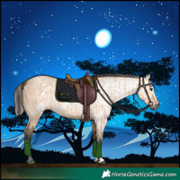 Horse Color:Bay Dun  and Gray Bay Dun 