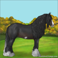 Horse Color:Brown Splash Frame Rabicano