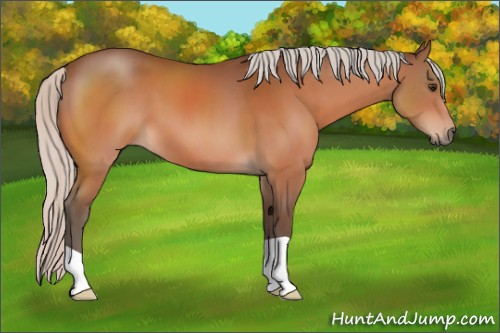 Horse Color:Silver Brown 
