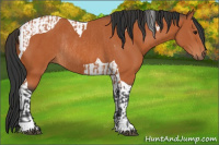 Horse Color:Bay Tobiano Rabicano  and Bay Tobiano Rabicano 