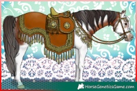 Horse Color:Bay Splash Frame Rabicano