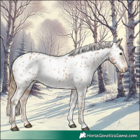 Horse Color:White Spotted Chestnut Near Leopard 