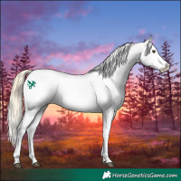 Horse Color:Palomino Roan Dun Appaloosa  and Palomino Roan Dun Appaloosa 