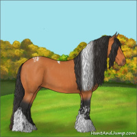 Horse Color:Bay Tobiano and Bay Tobiano