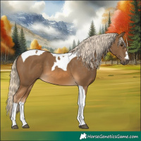 Horse Color:Chocolate Palomino Tobiano 