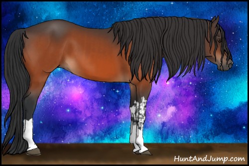 Horse Color:Brown Tobiano  and Brown 