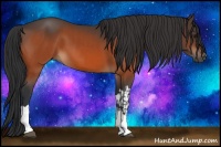 Horse Color:Brown Tobiano  and Brown 