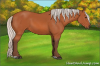 Horse Color:Silver Bay 