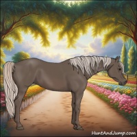 Horse Color:Silver Black 