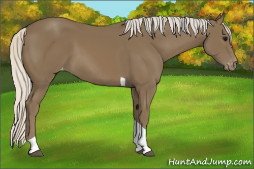 Horse Color:Silver Smoky Black Tobiano Appaloosa 