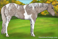 Horse Color:Silver Black Ice Tobiano Varnish