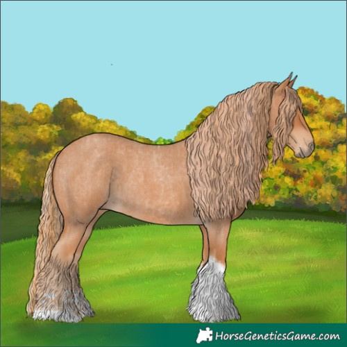 Horse Color:Red Roan Tobiano and Red Roan Tobiano