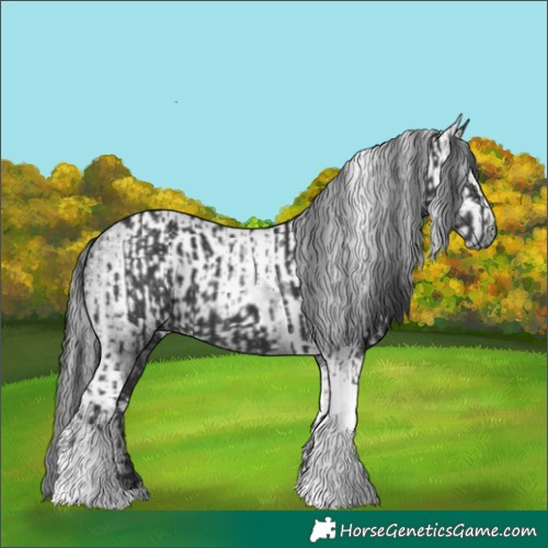 Horse Color:Black Tobiano and Gray Black Tobiano