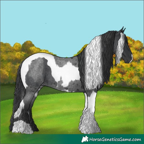 Horse Color:Blue Roan Tobiano  and Blue Roan Tobiano 