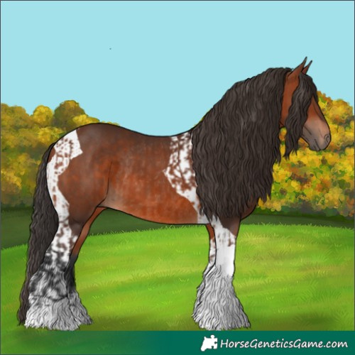 Horse Color:Bay Tobiano  and Bay Tobiano Rabicano 