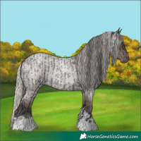 Horse Color:Blue Roan Tobiano  and Silver Blue Roan Tobiano 
