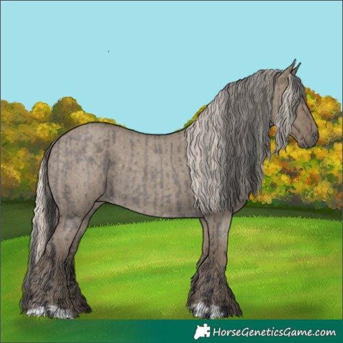 Horse Color:Smoky Grullo Roan  and Silver Smoky Grullo Roan 