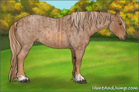Horse Color:Red Roan  and Red Roan 