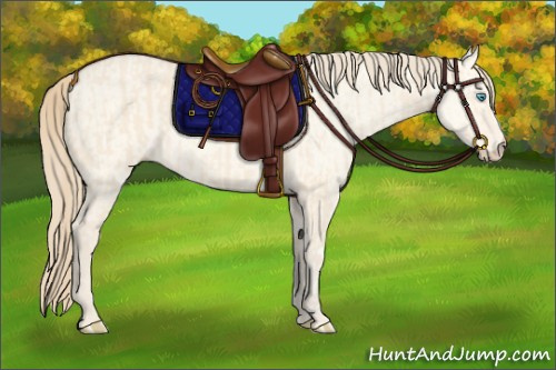 Horse Color:Perlino and Perlino Dun