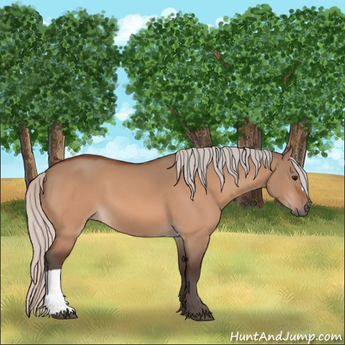 Horse Color:Silver Bay Dun 