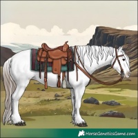 Horse Color:Blue Roan Blanket  and Blue Roan Splash Blanket 